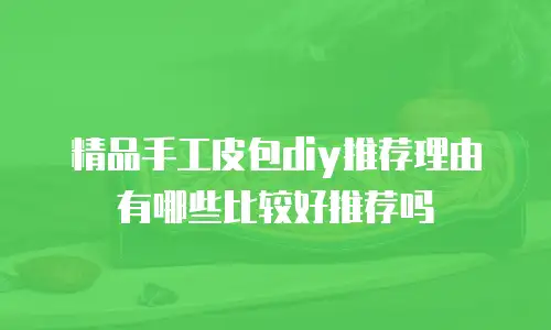 精品手工皮包diy推荐理由有哪些比较好推荐吗