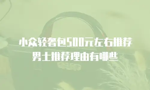 小众轻奢包500元左右推荐男士推荐理由有哪些
