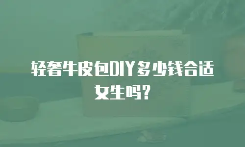 轻奢牛皮包DIY多少钱合适女生吗？