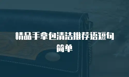 精品手拿包清洁推荐语短句简单