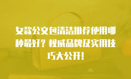 女款公文包清洁推荐使用哪种最好？权威品牌及实用技巧大公开！
