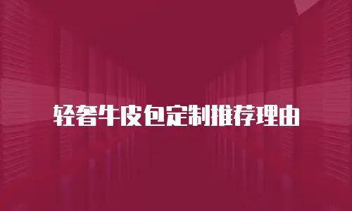 轻奢牛皮包定制推荐理由