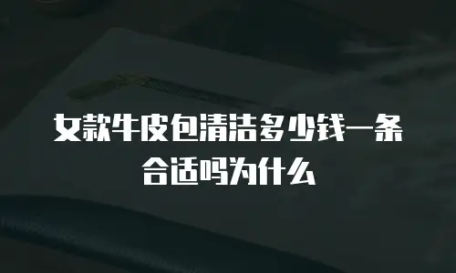 女款牛皮包清洁多少钱一条合适吗为什么
