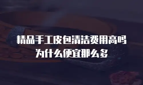 精品手工皮包清洁费用高吗为什么便宜那么多