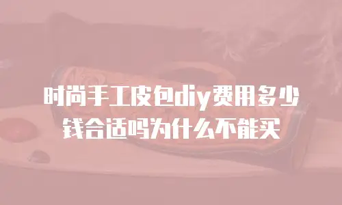 时尚手工皮包diy费用多少钱合适吗为什么不能买