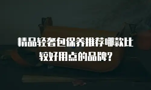 精品轻奢包保养推荐哪款比较好用点的品牌？