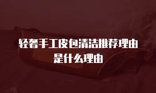 轻奢手工皮包清洁推荐理由是什么理由