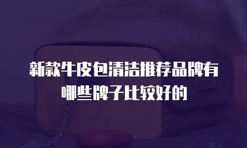 新款牛皮包清洁推荐品牌有哪些牌子比较好的