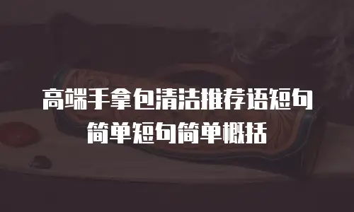高端手拿包清洁推荐语短句简单短句简单概括