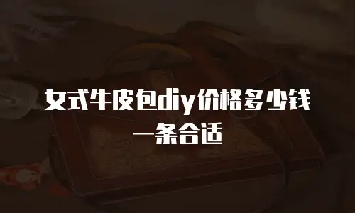 女式牛皮包diy价格多少钱一条合适