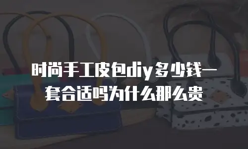 时尚手工皮包diy多少钱一套合适吗为什么那么贵