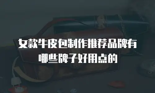 女款牛皮包制作推荐品牌有哪些牌子好用点的