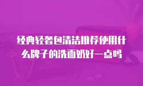 经典轻奢包清洁推荐使用什么牌子的洗面奶好一点吗