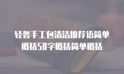 轻奢手工包清洁推荐语简单概括50字概括简单概括