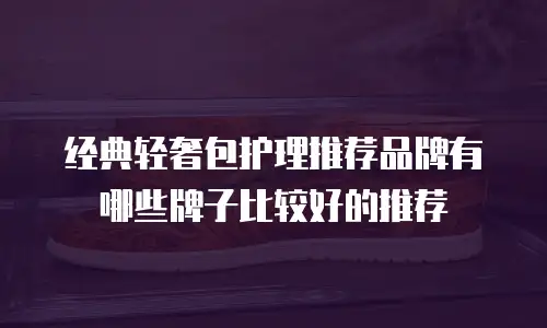 经典轻奢包护理推荐品牌有哪些牌子比较好的推荐