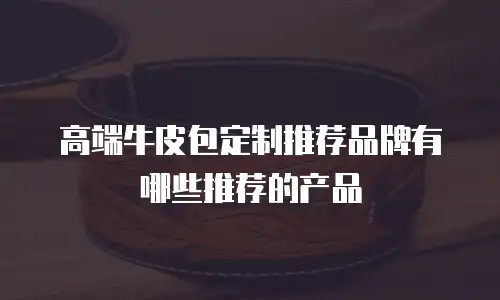 高端牛皮包定制推荐品牌有哪些推荐的产品