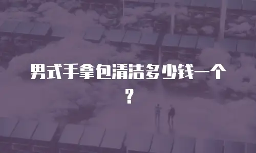 男式手拿包清洁多少钱一个？