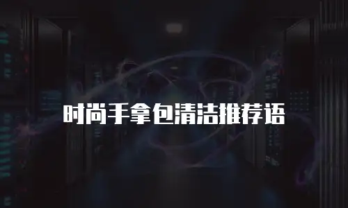时尚手拿包清洁推荐语