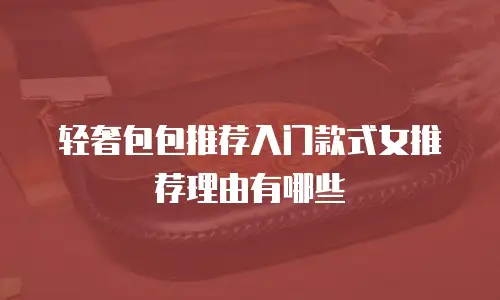 轻奢包包推荐入门款式女推荐理由有哪些