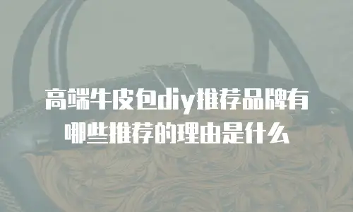 高端牛皮包diy推荐品牌有哪些推荐的理由是什么