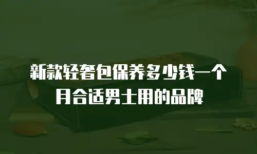 新款轻奢包保养多少钱一个月合适男士用的品牌