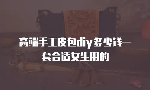 高端手工皮包diy多少钱一套合适女生用的