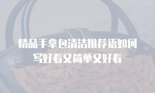 精品手拿包清洁推荐语如何写好看又简单又好看