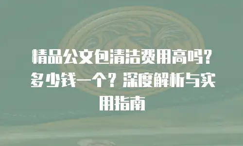 精品公文包清洁费用高吗？多少钱一个？深度解析与实用指南