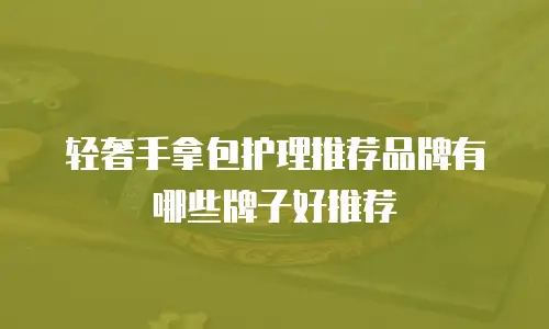 轻奢手拿包护理推荐品牌有哪些牌子好推荐