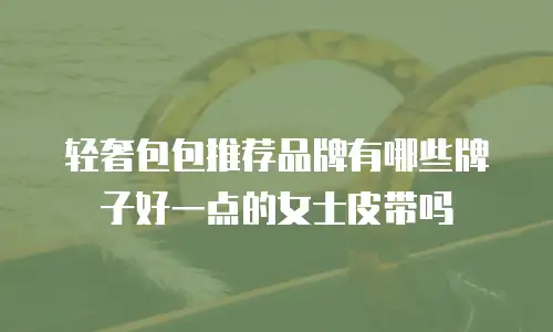 轻奢包包推荐品牌有哪些牌子好一点的女士皮带吗