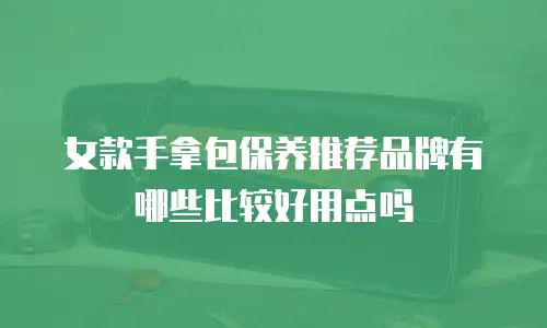 女款手拿包保养推荐品牌有哪些比较好用点吗