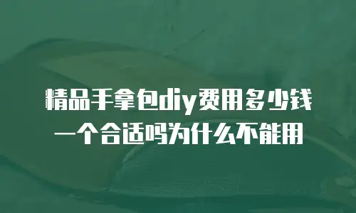 精品手拿包diy费用多少钱一个合适吗为什么不能用