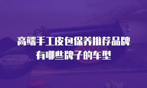 高端手工皮包保养推荐品牌有哪些牌子的车型