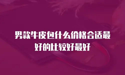 男款牛皮包什么价格合适最好的比较好最好