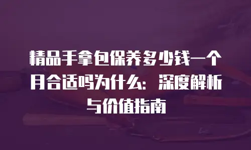 精品手拿包保养多少钱一个月合适吗为什么：深度解析与价值指南