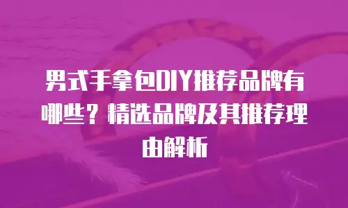 男式手拿包DIY推荐品牌有哪些？精选品牌及其推荐理由解析
