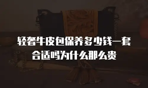 轻奢牛皮包保养多少钱一套合适吗为什么那么贵