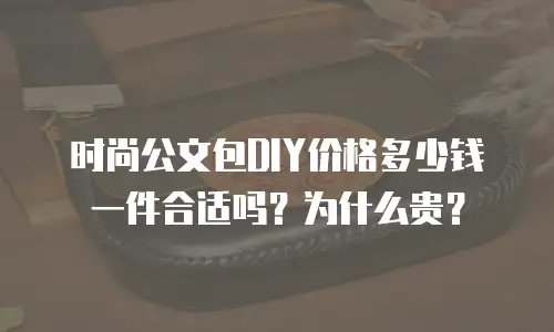 时尚公文包DIY价格多少钱一件合适吗？为什么贵？