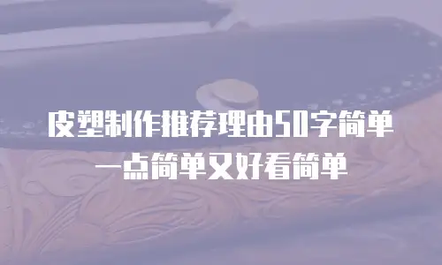 皮塑制作推荐理由50字简单一点简单又好看简单