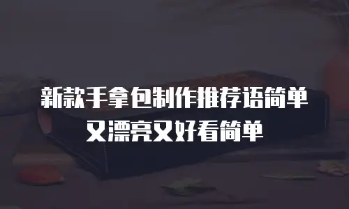 新款手拿包制作推荐语简单又漂亮又好看简单