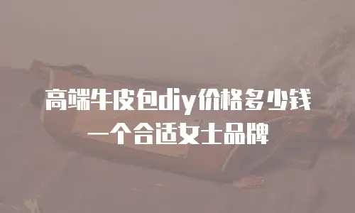 高端牛皮包diy价格多少钱一个合适女士品牌