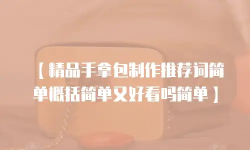 【精品手拿包制作推荐词简单概括简单又好看吗简单】