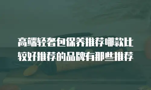 高端轻奢包保养推荐哪款比较好推荐的品牌有那些推荐