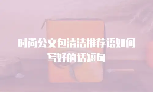 时尚公文包清洁推荐语如何写好的话短句