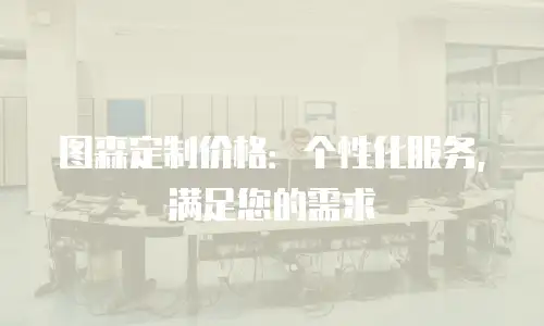 图森定制价格：个性化服务，满足您的需求