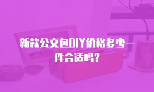 新款公文包DIY价格多少一件合适吗？