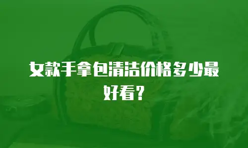 女款手拿包清洁价格多少最好看？