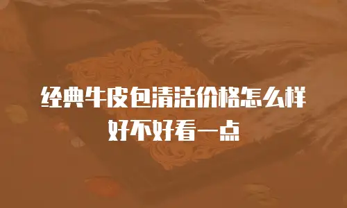 经典牛皮包清洁价格怎么样好不好看一点