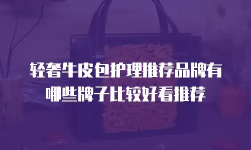 轻奢牛皮包护理推荐品牌有哪些牌子比较好看推荐