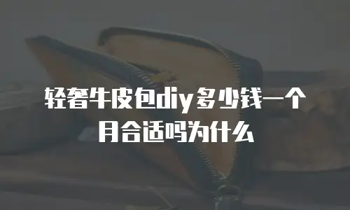 轻奢牛皮包diy多少钱一个月合适吗为什么